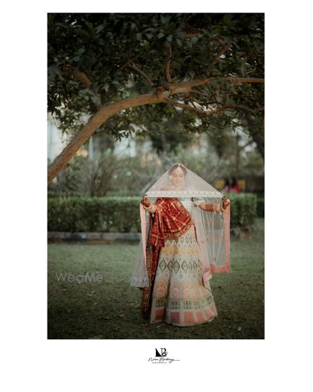 portfolio-pic