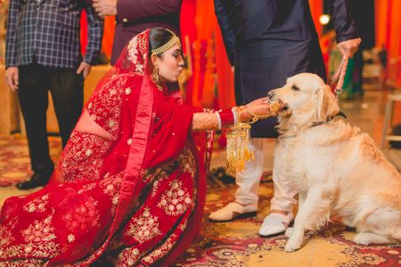 bride with her dog on her wedding day bidaai
