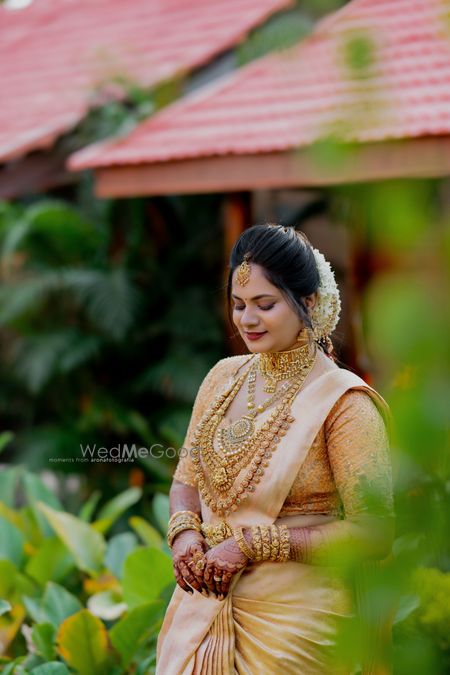 portfolio-pic