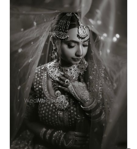 portfolio-pic