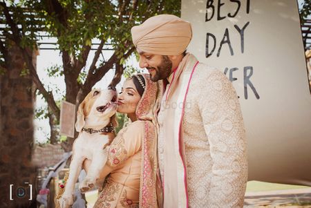 Bride and groom with pet dog