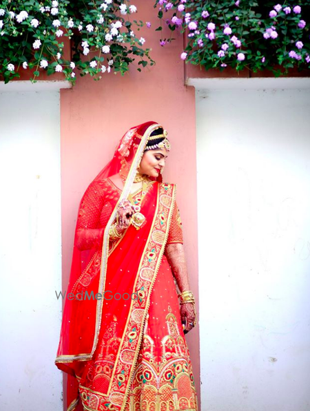 portfolio-pic