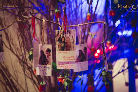 Wishing tree with pinned photos