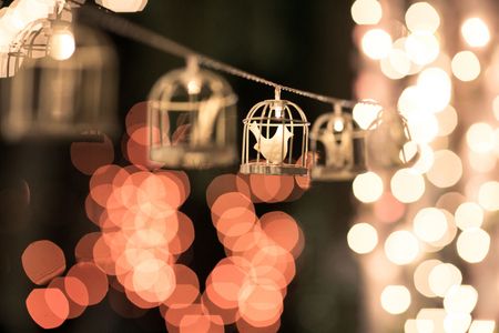 Photo of Hanging birdcage lights on string