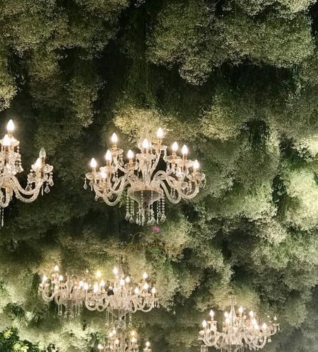 chandelier decor