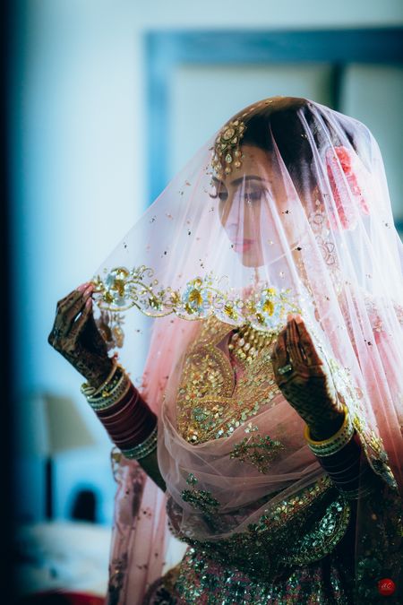 Stunning bride in veil shot!