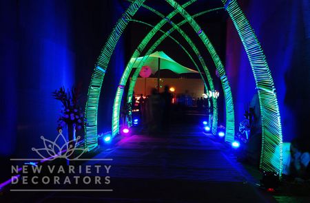 Photo of dark green and blue entrance decor