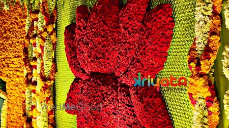 Album in City Shot in Vijayawada