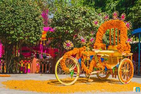 genda flower bicycle