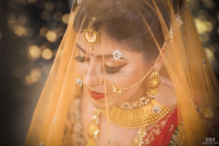 Stunning bride in veil shot