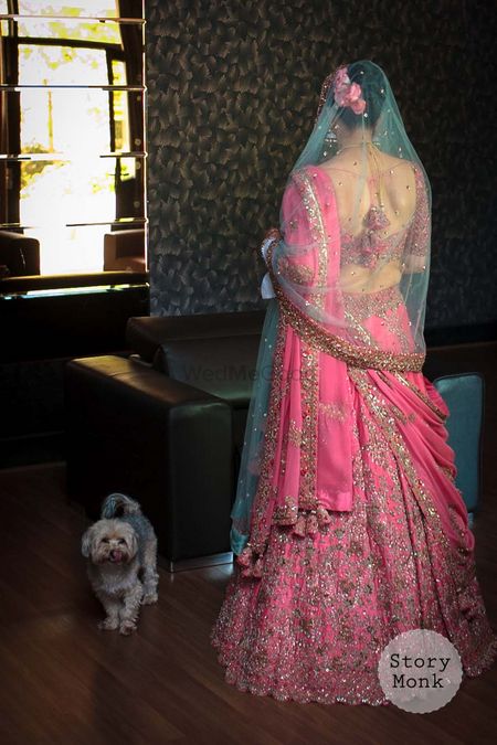 Photo of Candy pink bridal lehenga back shot