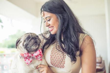 Photo of Bride with dog wearing bow tie