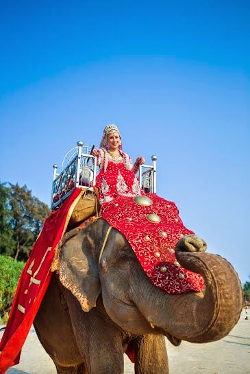 Bride entering on an elephant