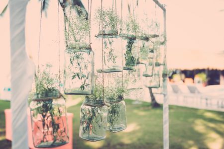 Photo of Hanging Mason Jars with Plants