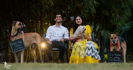 Photo of cute pre-wedding shoot with dogs