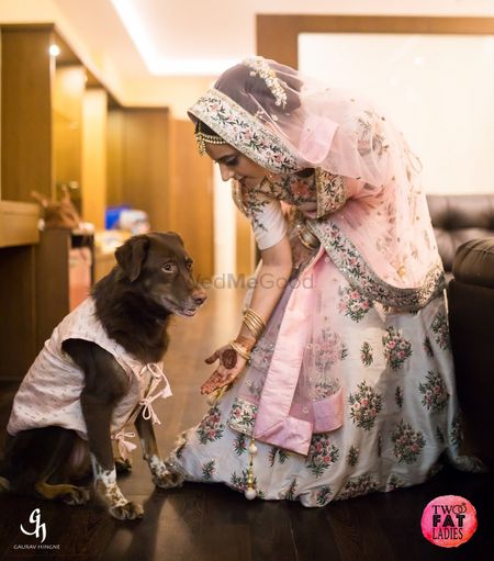 Photo of Wedding day bridal shot with dog in clothes