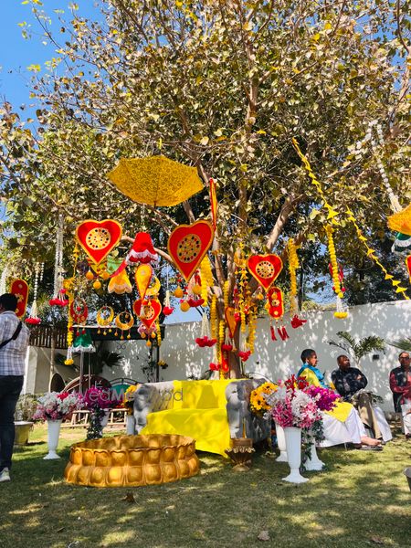 Album in City Shot in Lucknow