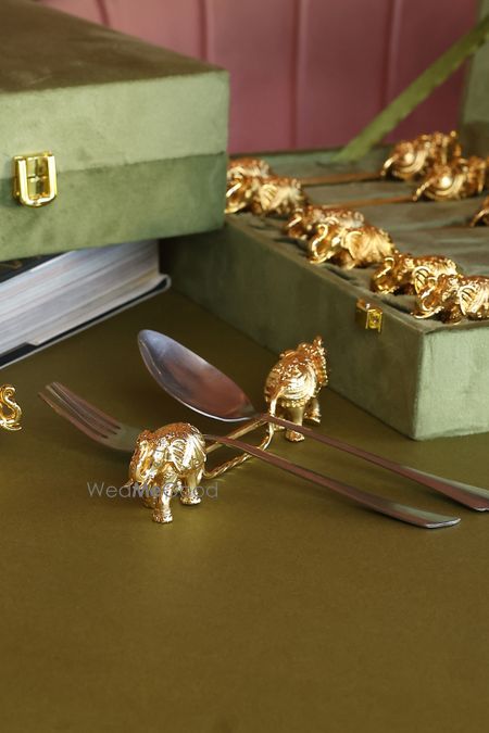 Album in City Shot in Jaipur