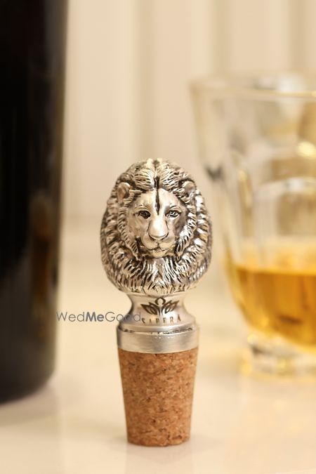 Album in City Shot in Jaipur