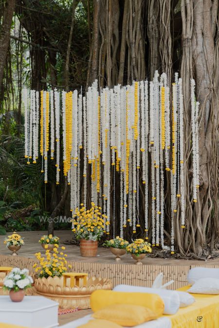 Album in City Shot in Goa