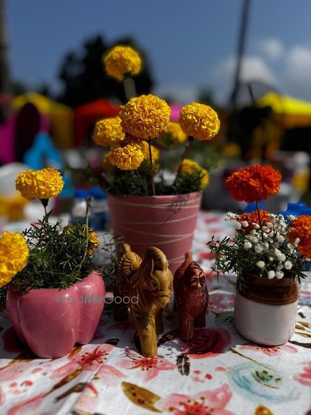 Album in City Shot in Goa