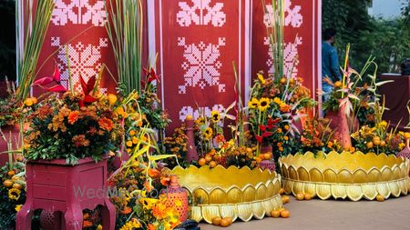 Album in City Shot in Ahmedabad