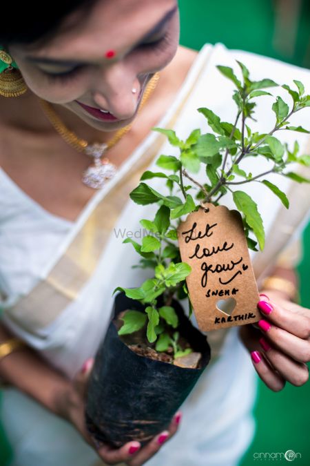 Photo of Unique favour idea plant sapling for wedding