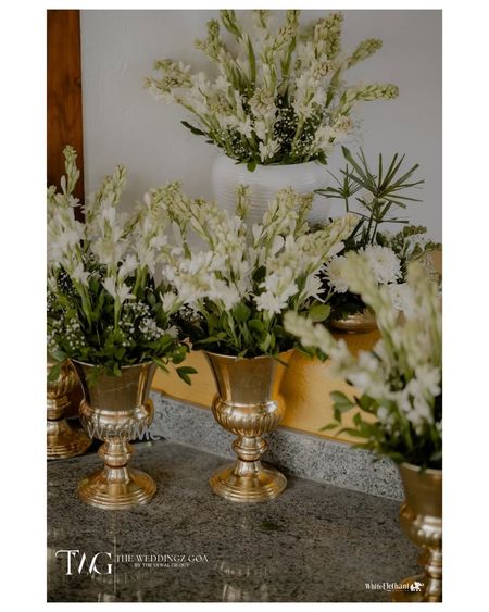 Album in City Shot in Goa