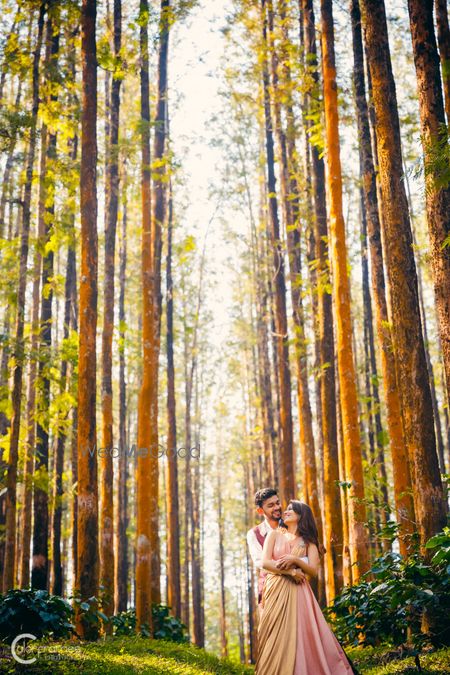 Pre wedding shoot in forest 