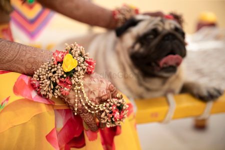 Bride with dog showing off floral haathphool 