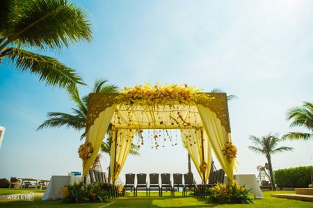 Daytime mandap in yellow colour with drapes 
