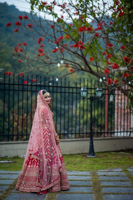 Red lehenga with contrasting pink dupatta on the head