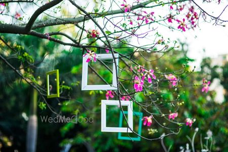 Photo of Frames hung on trees