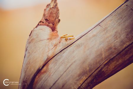 Engagement Rings on Wooden Bark