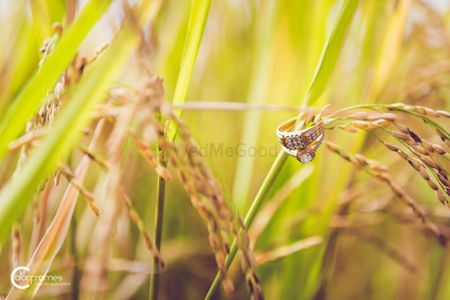Engagement Rings on Crops