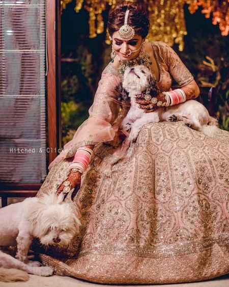 A bride posing with puppies on her wedding day 