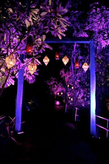 Purple Themed Night Decor