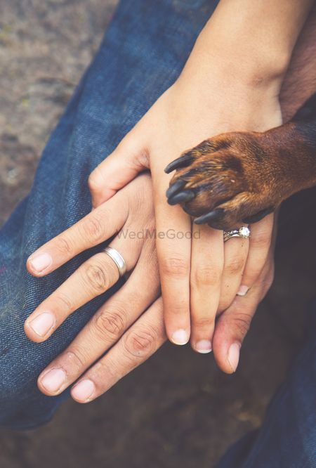 Photo of pets paw in pre wedding shoot