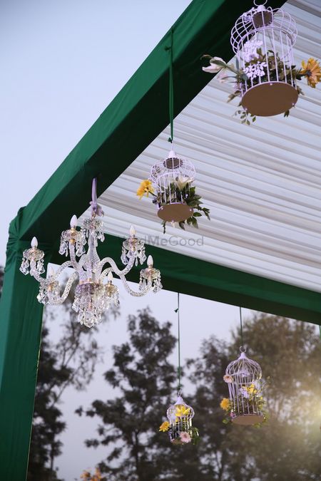 Green Day Decor with Bird Cages and Chandelier