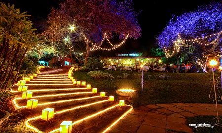 Fairy Lights in Wedding Decor