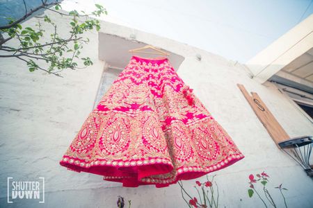 Photo of Hot Pink Bridal Lehenga on a Hanger with Gold Work