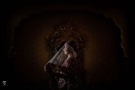 Bride under a veil shot
