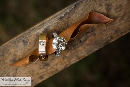 His and Her Solitaire Engagement Rings on Log