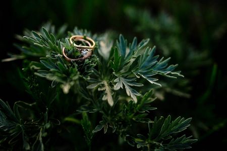 engagement ring photography for his and her rings