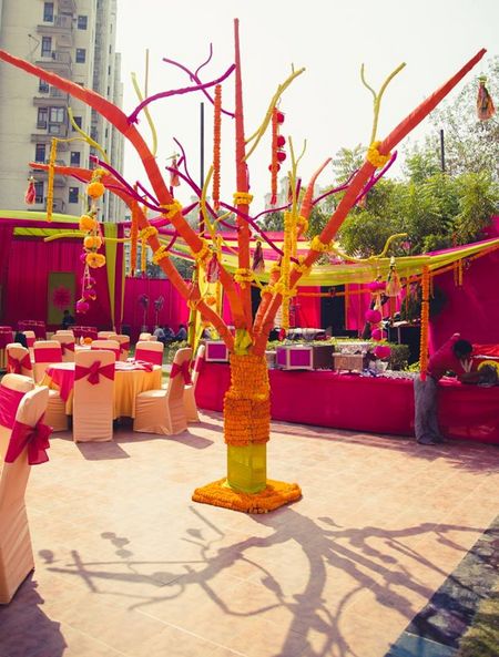 Photo of Genda Phool Tree and Branches in Decor