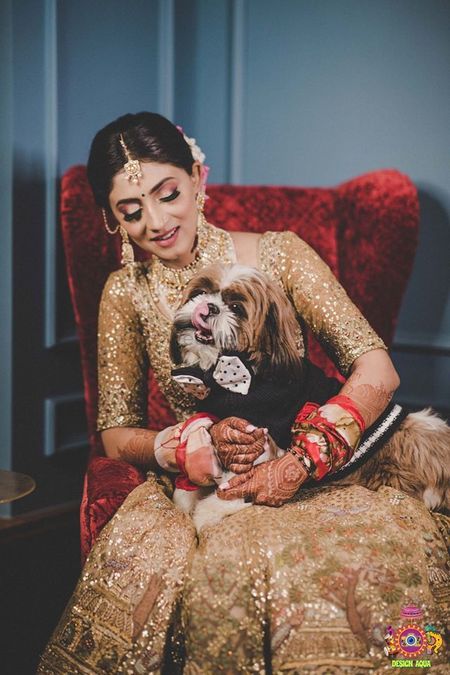 bridal portrait with her dog wearing a tux