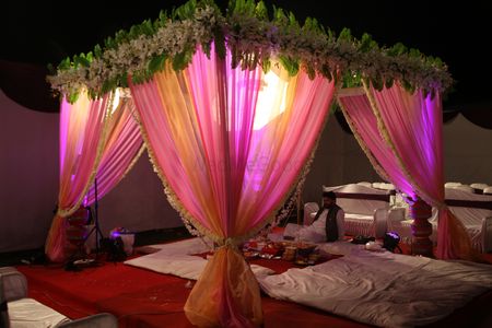 light pink drapes with light