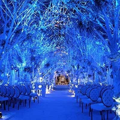 Photo of blue ferns winter wonderland theme with seating