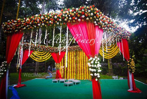 Melting Flowers Price Reviews Wedding Decorators In Bangalore