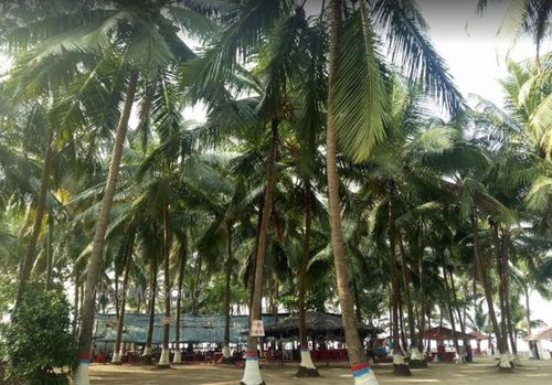 Picxy Sea Resort Borivali Mumbai Banquet Wedding Venue With Prices En guezel kiz cocuk elbiseleri dogum guenue elbiseleri, kiz cocuk kiyafetleri, kiz cocuk modasi, en guezel dogum guenue elbiseleri ve en uygun fiyatlar ile. picxy sea resort borivali mumbai